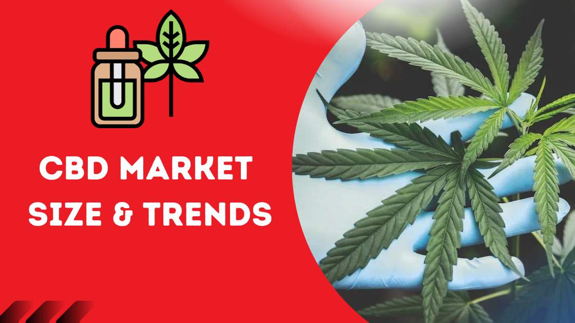 CBD Market Size