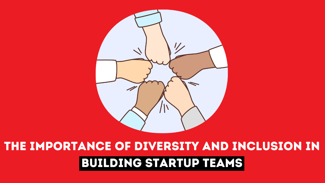 diversity in Startup Teams